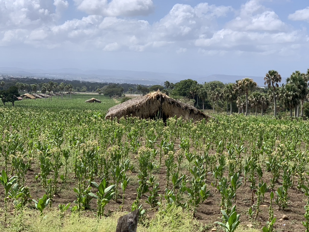 Terrenos en la Circunvalación Norte